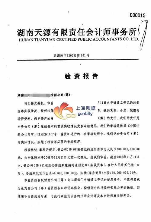 湖南公司验资报告.png