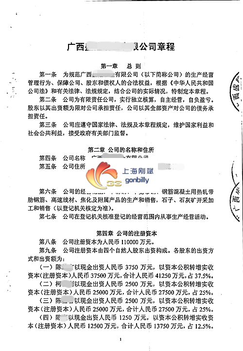 广西公司章程.png