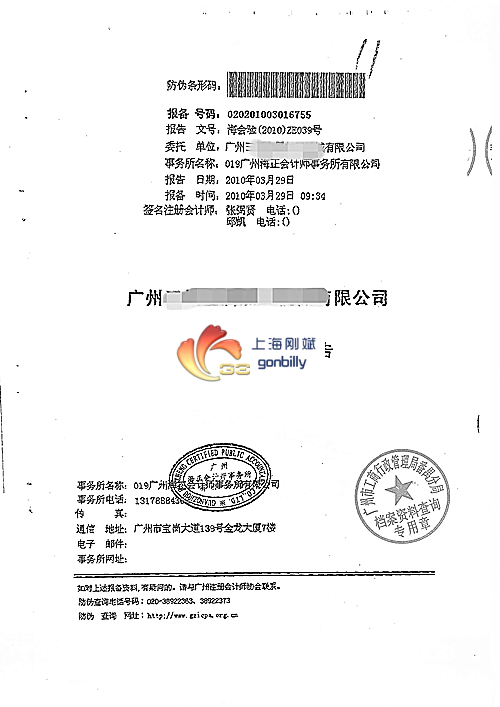 广东企业验资报告.png